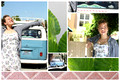 Accaillia VW Collage